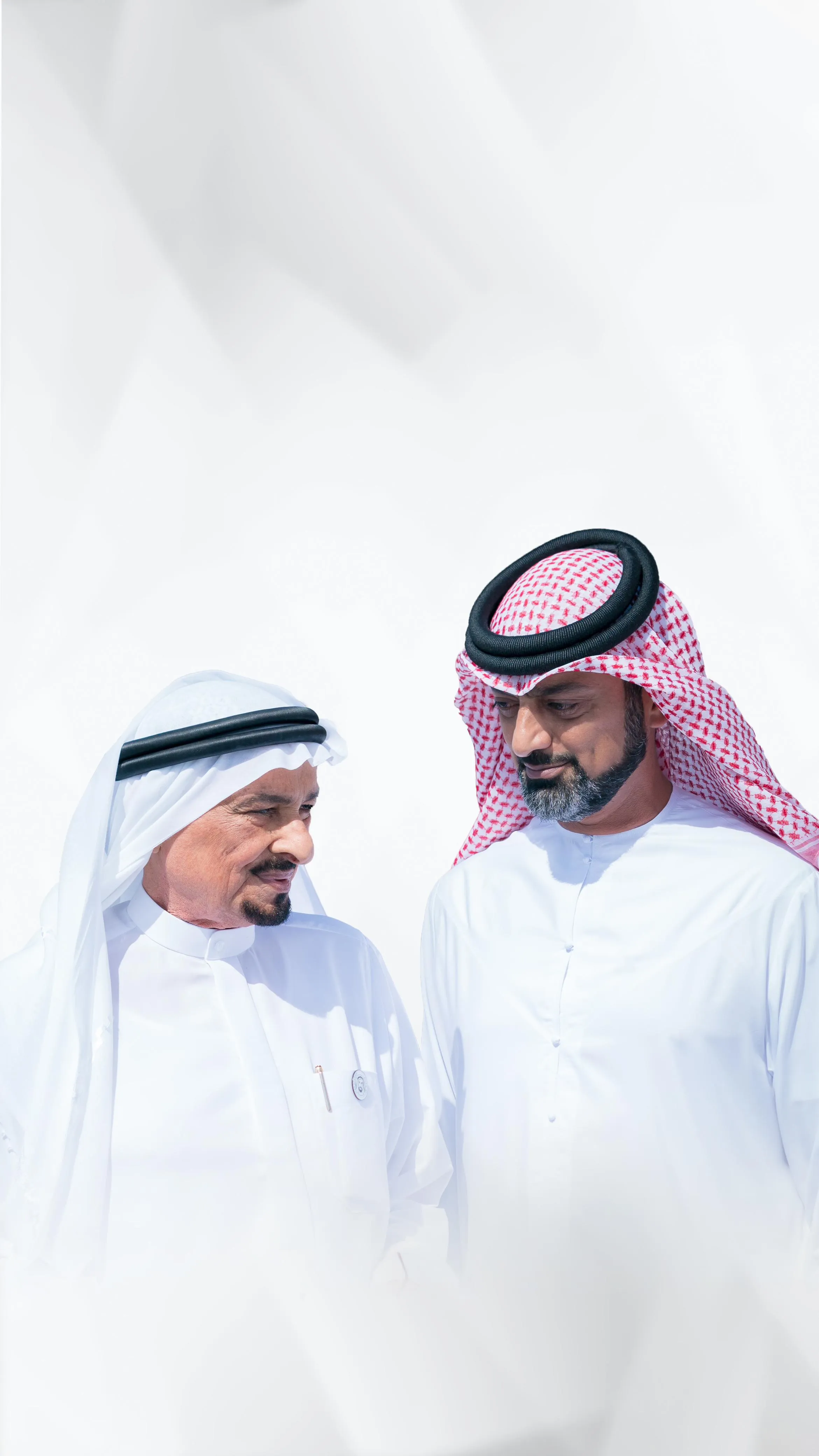 Al Sheikh Ammar bin Humaid Al Nuaimi