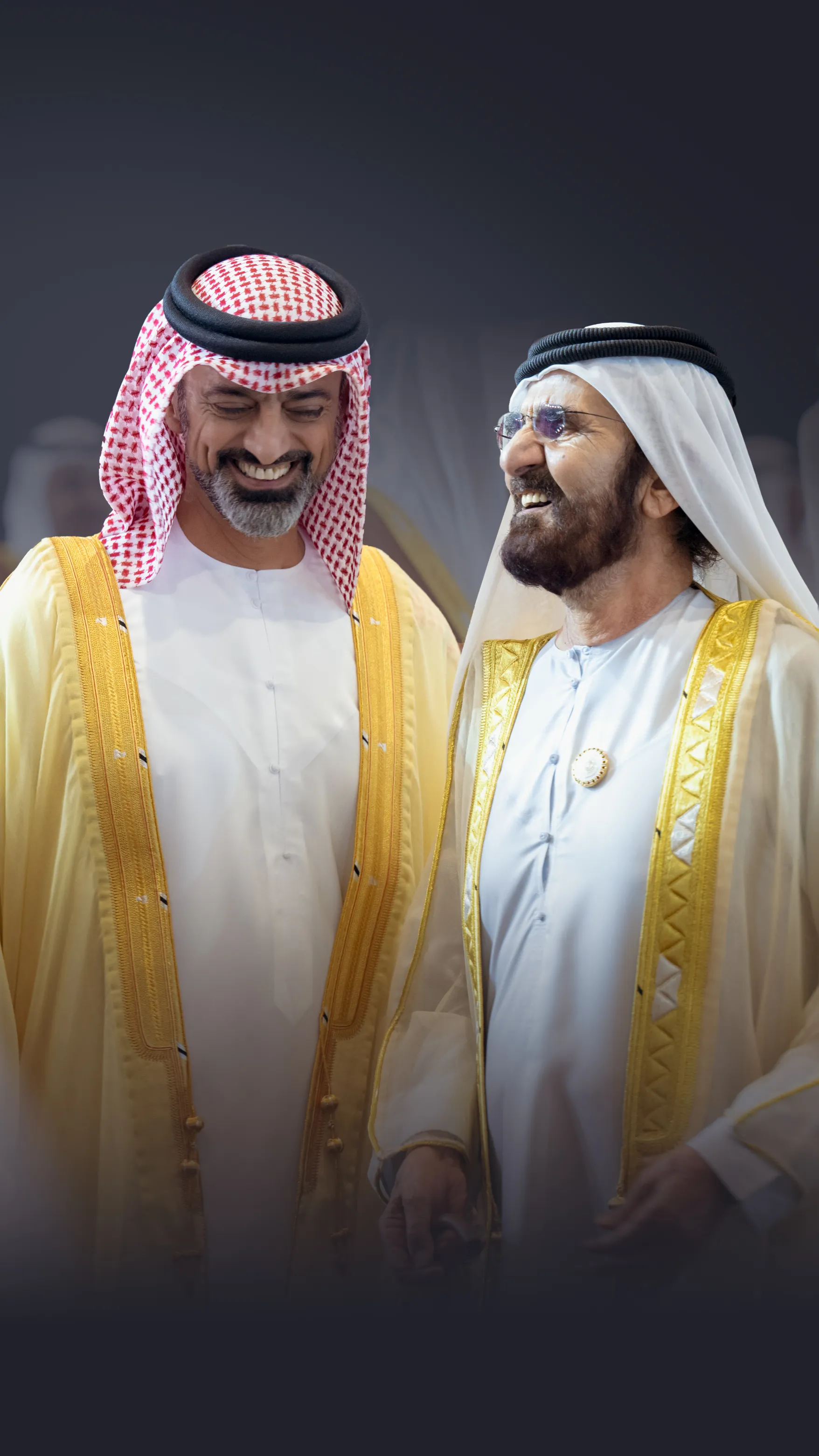 Al Sheikh Ammar bin Humaid Al Nuaimi