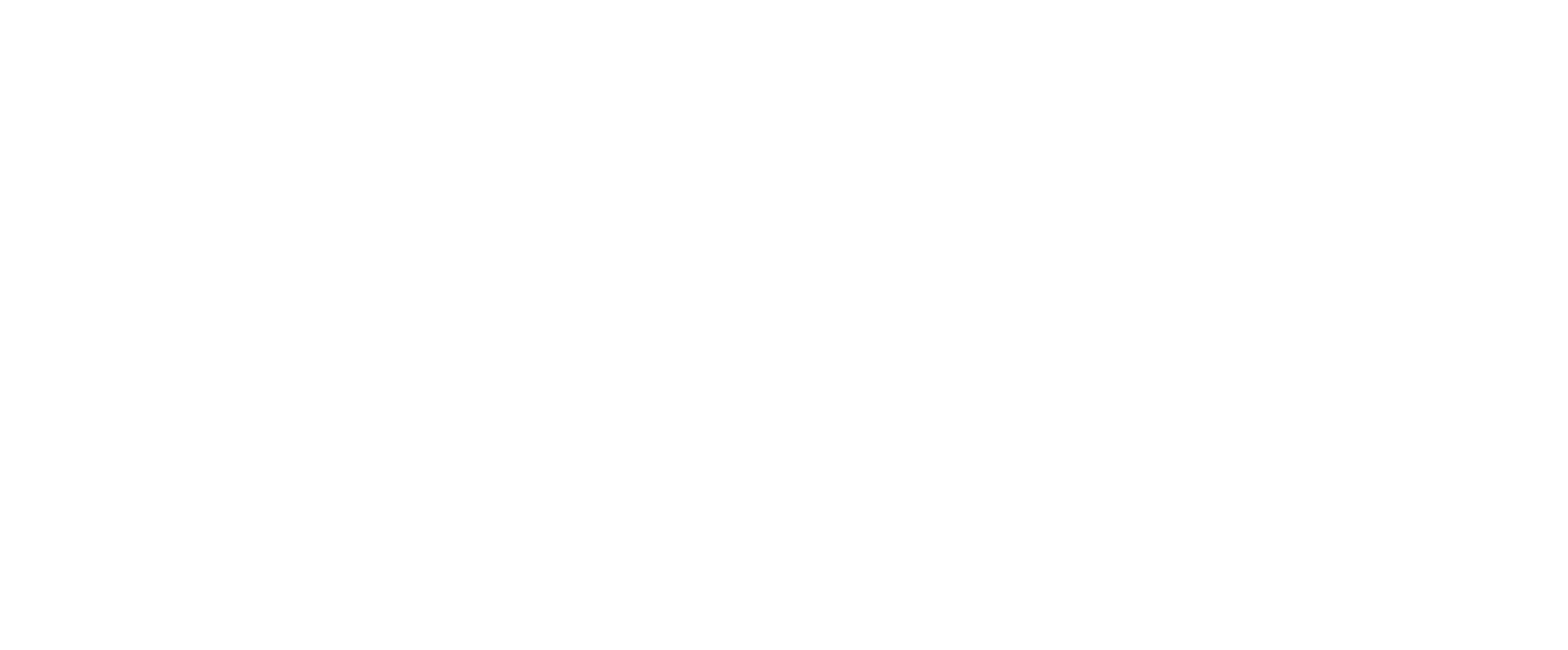 Sheikh Ammar bin Humaid Al Nuaimi Logo